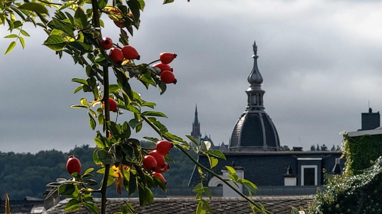 شقة روديسهايم ام رين  في Artstudio Rudesheim المظهر الخارجي الصورة